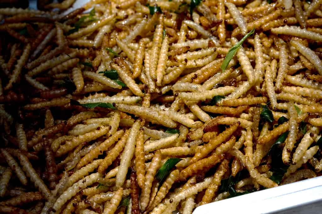 What Does Scorpion Taste Like? Guide To Eating Insects In Thailand.