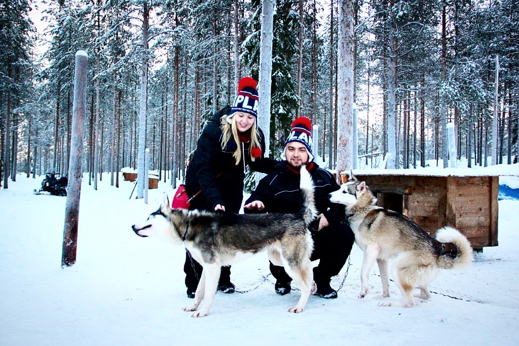 Playing with husky dogs in Rovaniemi