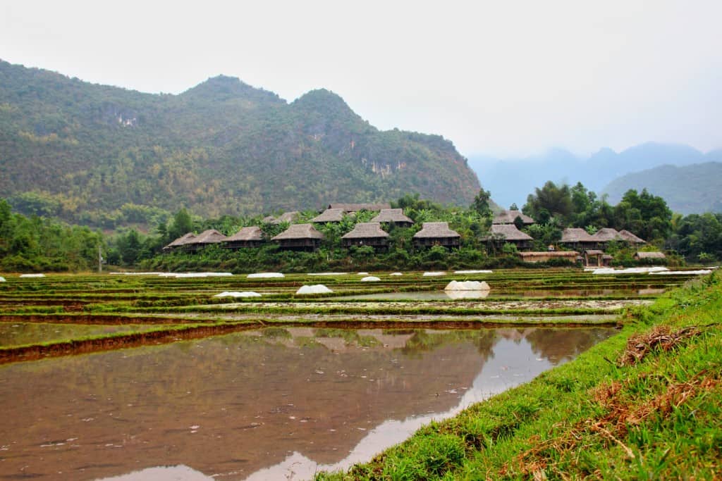 Mai Chau rice fields