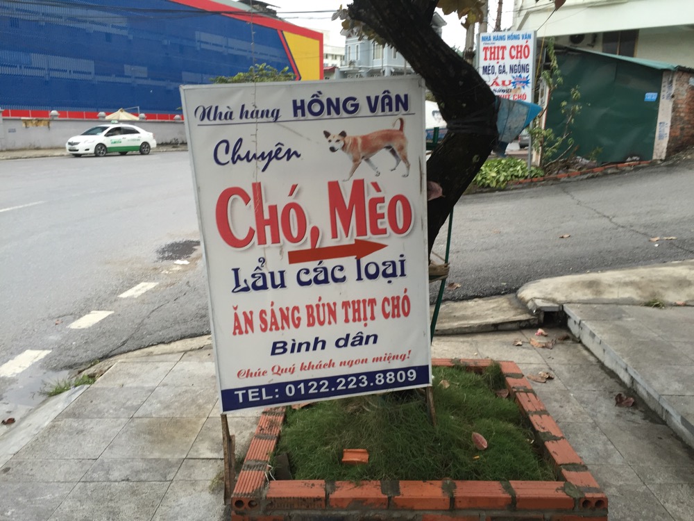 Cho Meo dog meat in Interesting Vietnam facts | Vietnam Sign 