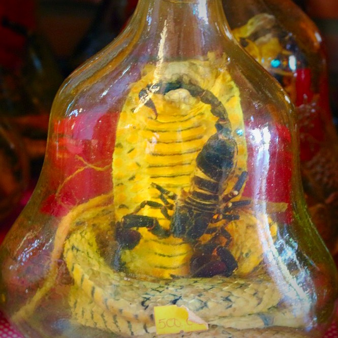 Vietnam interesting facts Snake wine