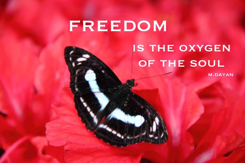 freedom-is-an-oxygen-of-the-soul motivational travel quotes