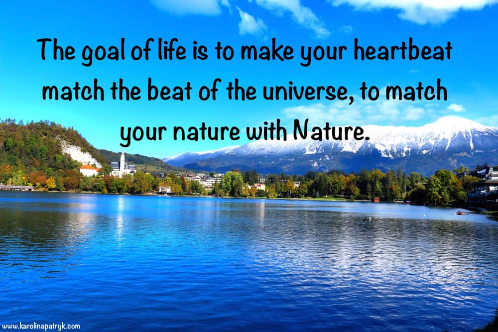 the-goal-of-life-is-to-make-your-heartbeat-match-the-beat-of-the-universe-to-match-your-nature-with-nature
