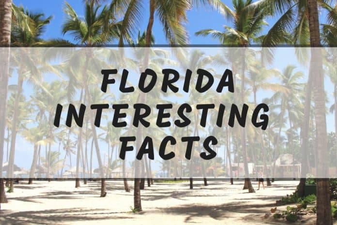 interesting-florida-facts-10-fun-facts-you-didn-t-know-about