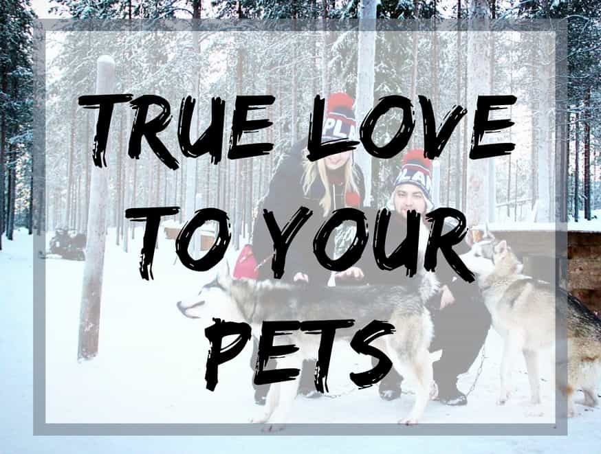 True love to your pets