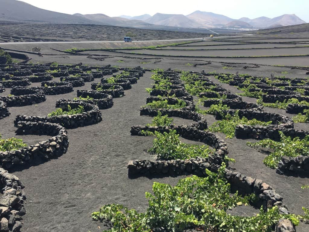 Vins d'Espagne : Lanzarote