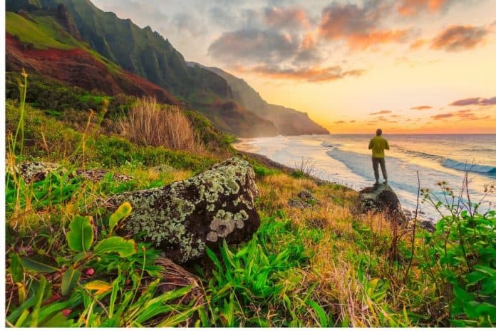 Best Maui Excursions - Top Things to Do In Maui For Free & With Prices Best Maui Excursions - Top Things to Do In Maui For Free & With Prices